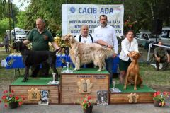 CACIB ADA