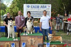 CACIB ADA