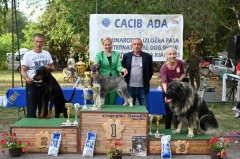 CACIB ADA