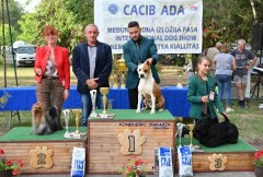 CACIB ADA