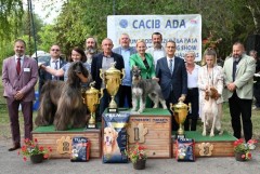 CACIB ADA
